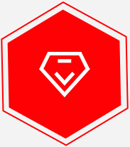 專業(yè)技術(shù)資詢與售后服務
